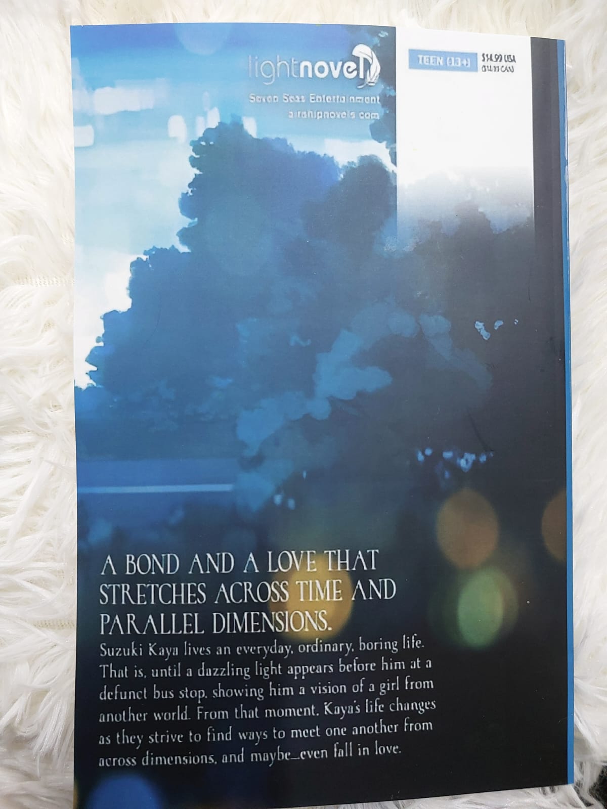 Picture of I Will Forget This Feeling Someday (Light Novel) Novel by Yoru Sumino