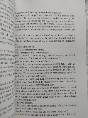 Picture of As Long As the Lemon Trees Grow Book by Zoulfa Katouh | Premium Quality