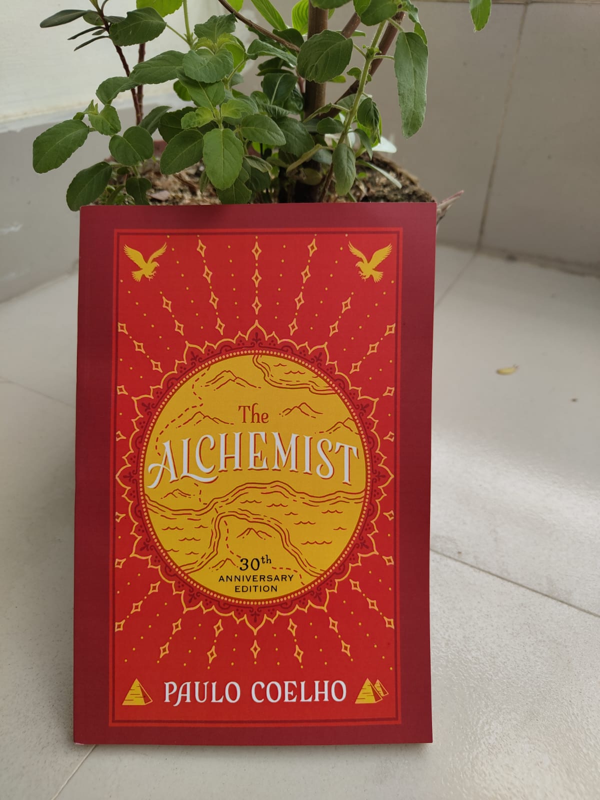 Picture of The Alchemist Novel by Paulo Coelho - Premium Quality - Paperback