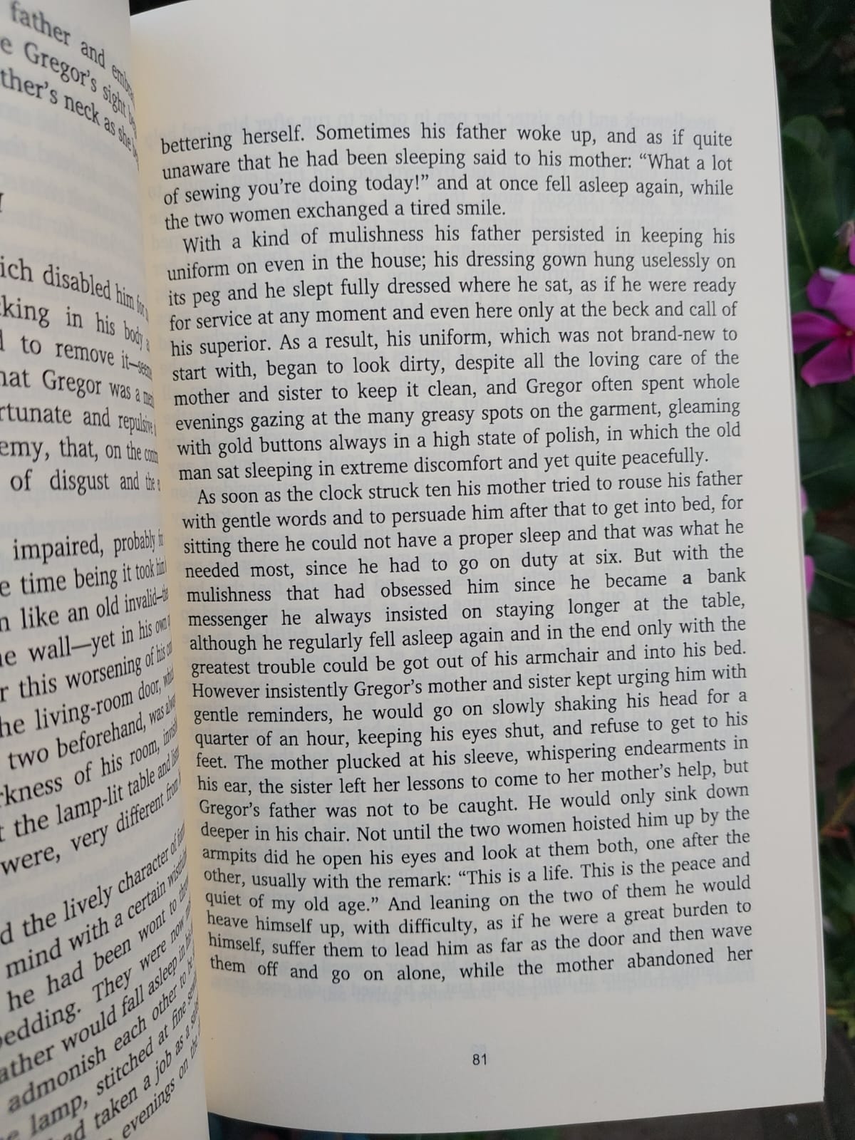 Picture of The Metamorphosis: And Other Stories by Franz Kafka - Premium Quality - Paperback