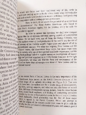 Picture of Gu ns, Germs, and Steel: The Fates of Human Societies Book by Jared Diamond