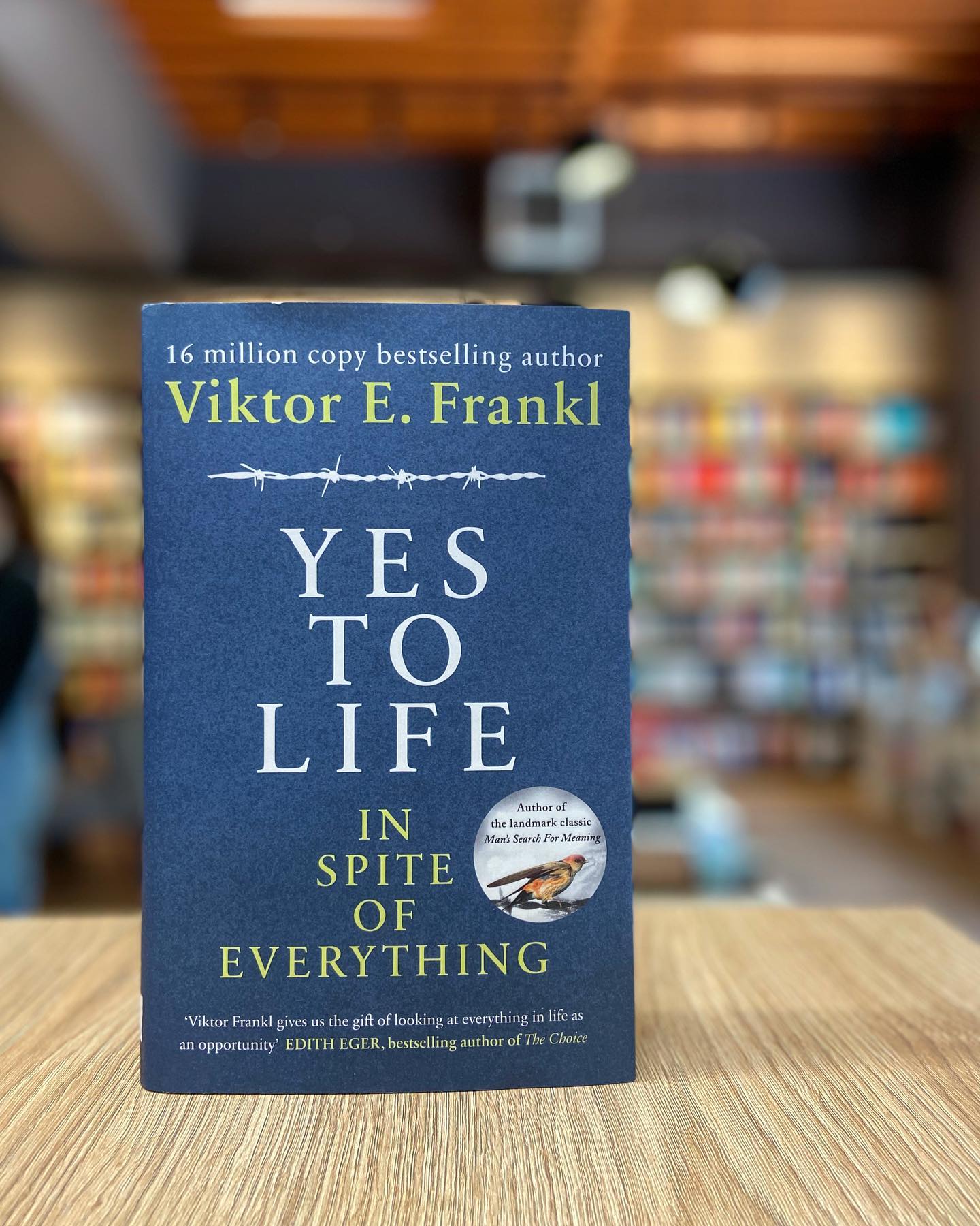 Picture of Yes to Life: In Spite of Everything by Viktor Frankl