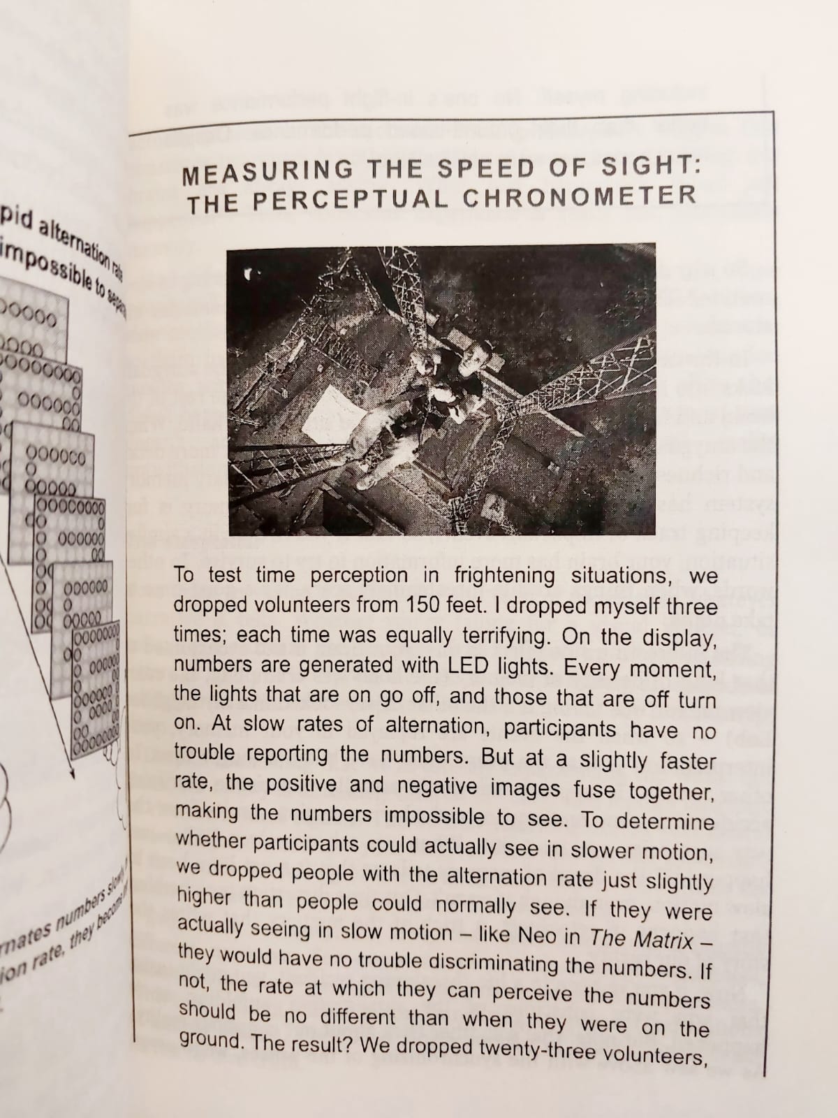 Picture of The Brain: The Story of You by David Eagleman - Premium - Paperback