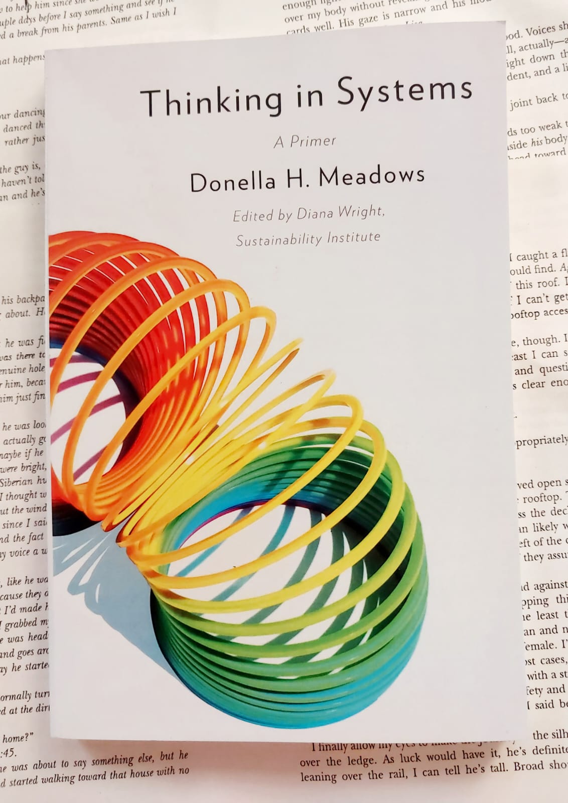 Picture of Thinking in Systems: A Primer by Donella Meadows - Premium - Paperback