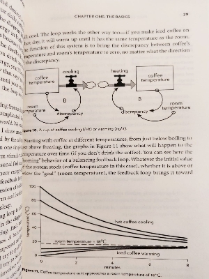 Picture of Thinking in Systems: A Primer by Donella Meadows - Premium - Paperback