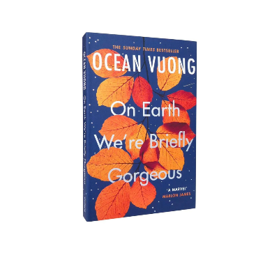 Picture of On Earth We're Briefly Gorgeous Novel by Ocean Vuong - Premium - Paperback