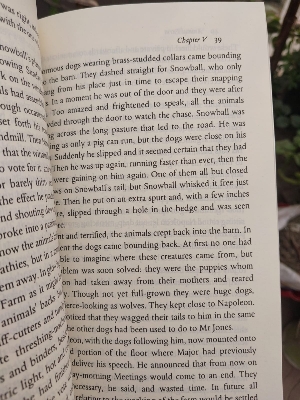 Picture of Animal Farm by George Orwell - Premium - Paperback