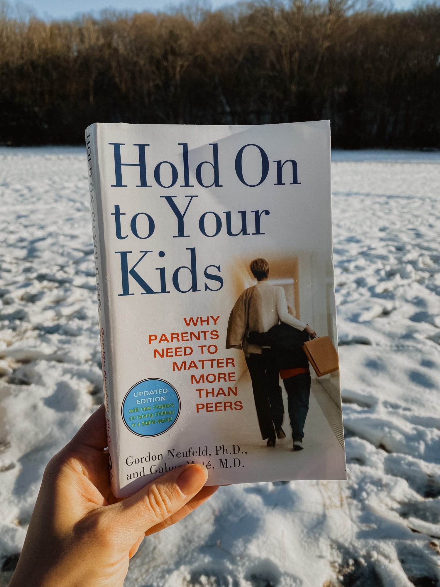 Picture of Hold on to Your Kids by Gabor Maté and Gordon Neufeld - Premium - Paperback