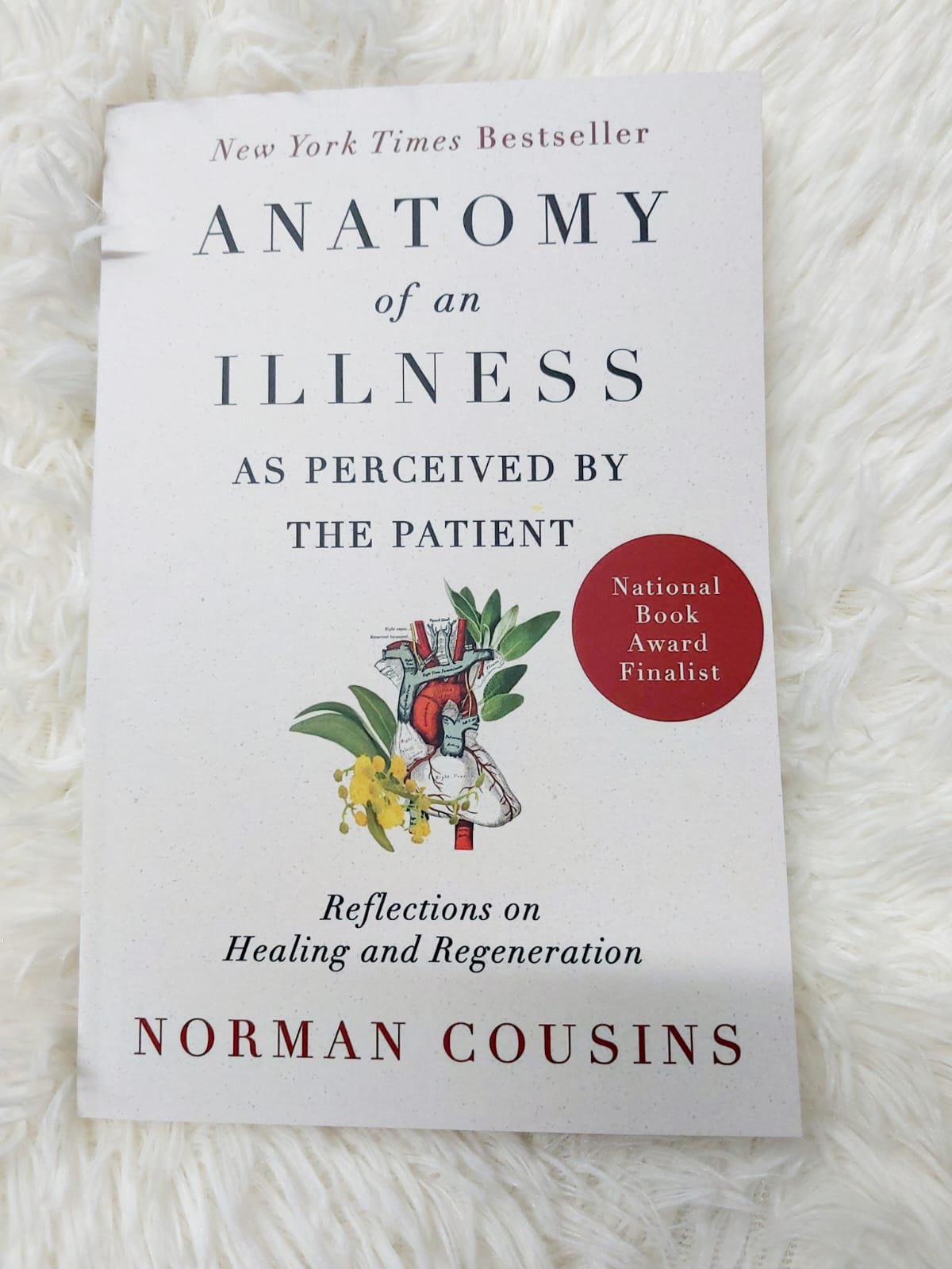 Picture of Anatomy of an Illness by Norman Cousins - Premium - Paperback