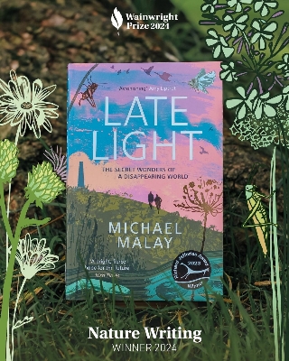 Picture of Late Light by Michael Malay - Premium - Paperback