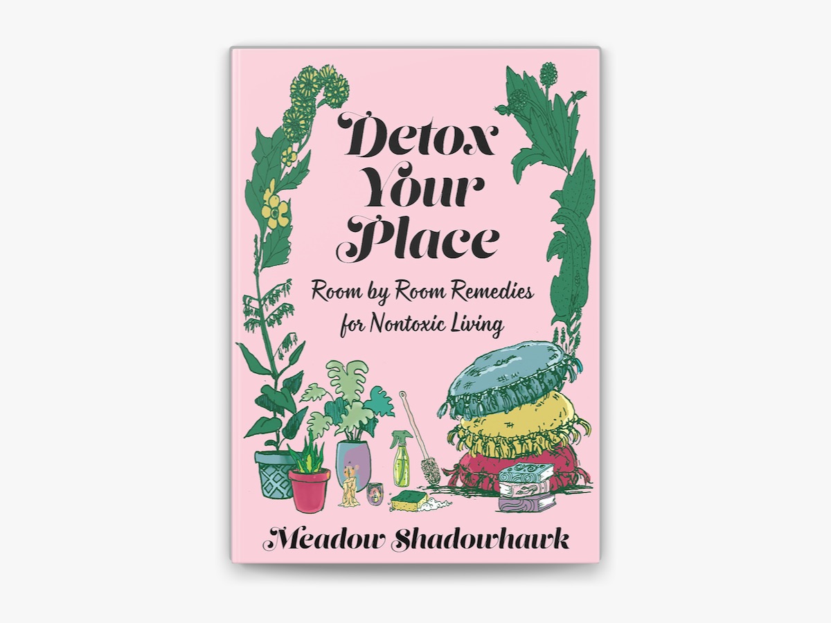 Picture of Detox Your Place: Room by Room Remedies for Nontoxic Living (Good Life) by Meadow Shadowhawk