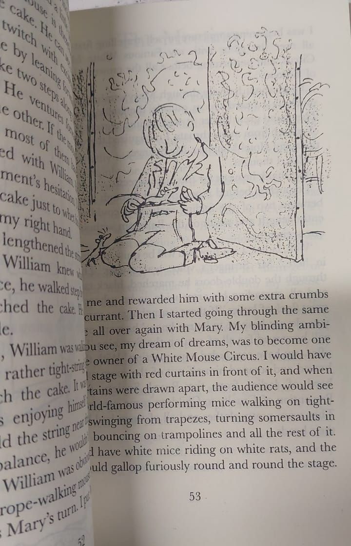 Picture of The Witches Novel by Roald Dahl - Yellow - Paperback