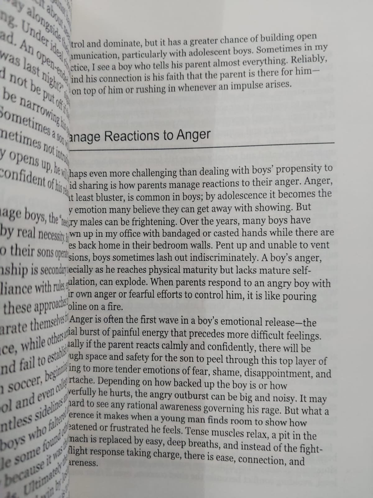 Picture of How To Raise A Boy: The Power of Connection to Build Good Men by Michael C. Reichert