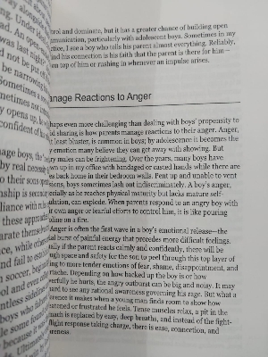 Picture of How To Raise A Boy: The Power of Connection to Build Good Men by Michael C. Reichert