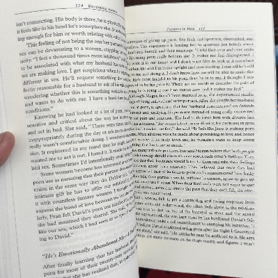 Picture of The Por**n Trap: The Essential Guide to Overcoming Problems Caused by Po*rno*graphy