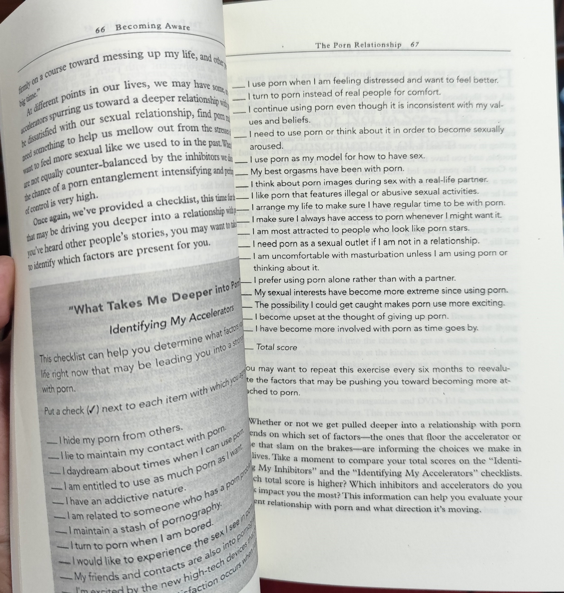 Picture of The Por**n Trap: The Essential Guide to Overcoming Problems Caused by Po*rno*graphy