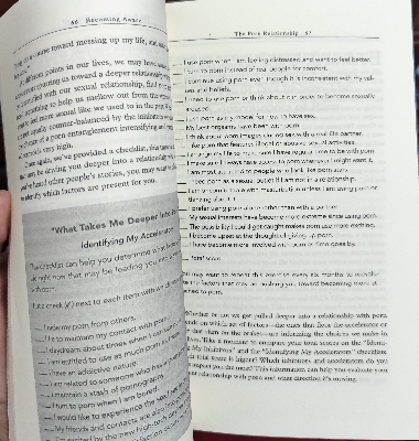 Picture of The Por**n Trap: The Essential Guide to Overcoming Problems Caused by Po*rno*graphy