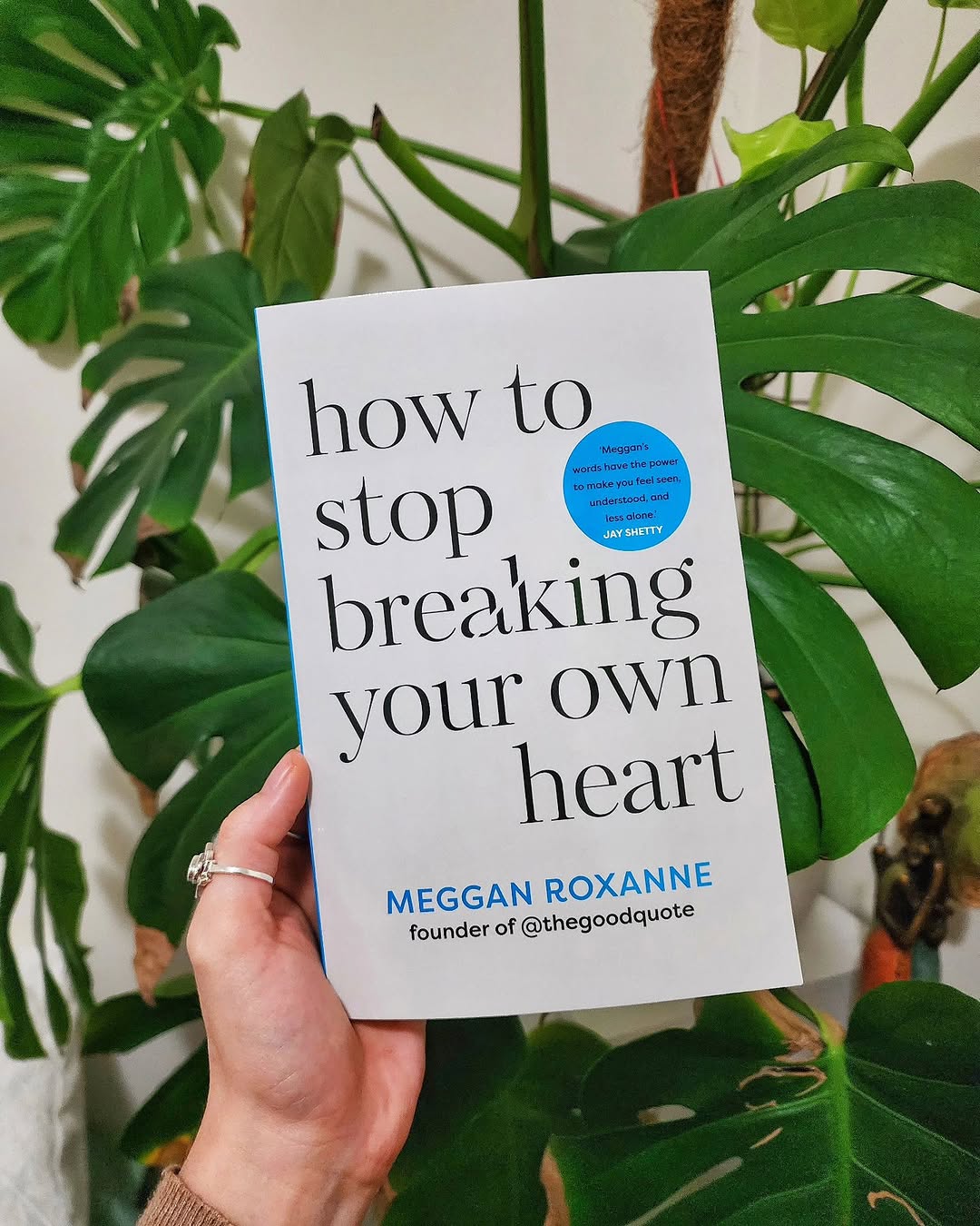 Picture of How to Stop Breaking Your Own Heart by Meggan Roxanne