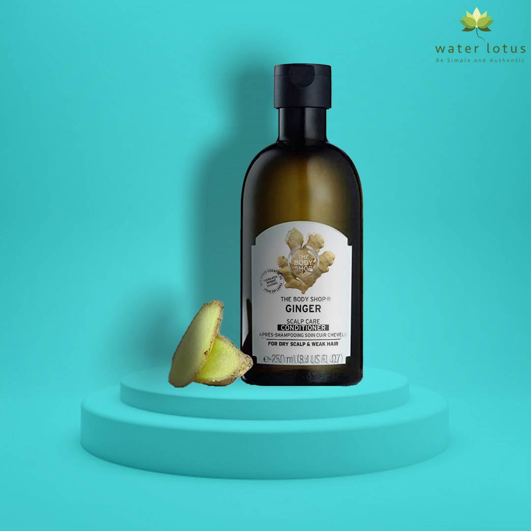 Picture of The Body Shop Ginger Conditioner - 250 ml