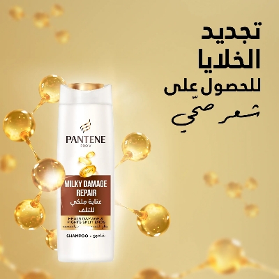 Picture of International UAE product Hair care Pan tene Shampoo milky damage repair used for male/ female - 400 ml