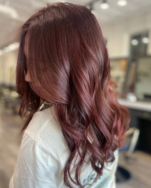 Picture of International USA products Clariss Hair Color 4.5 Mahogany used for female