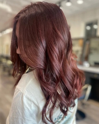 Picture of International USA products Clariss Hair Color 4.5 Mahogany used for female