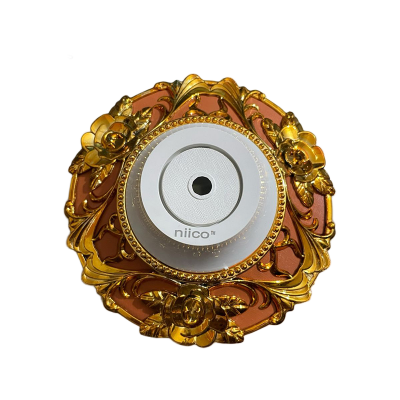 Picture of NIICO Exclusive Design 2 in 1 Ceiling Rose Model-009 (1 piece)