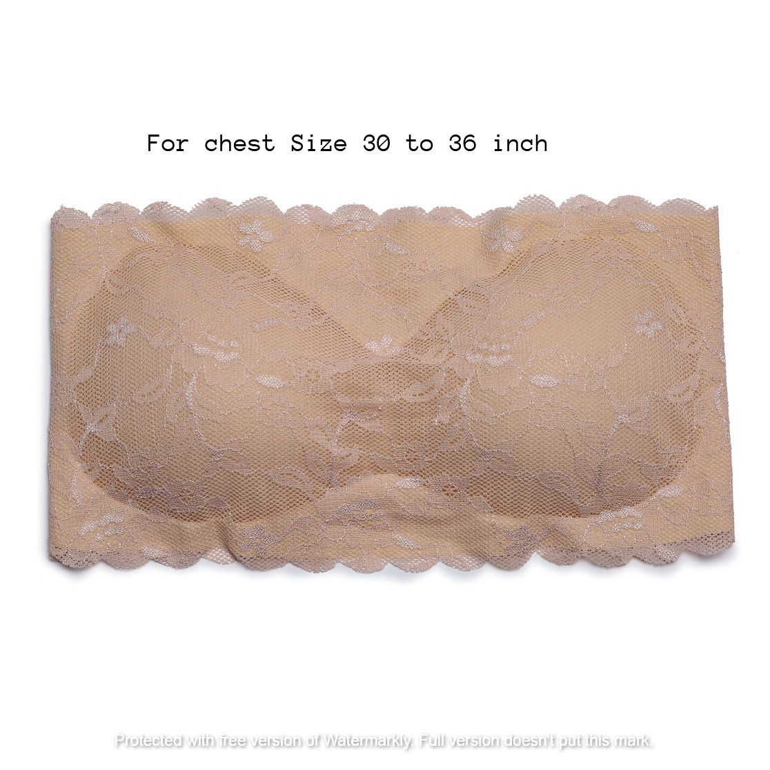 Picture of Lace Tube Strapless Padded Push Up Bra For Women - One Piece