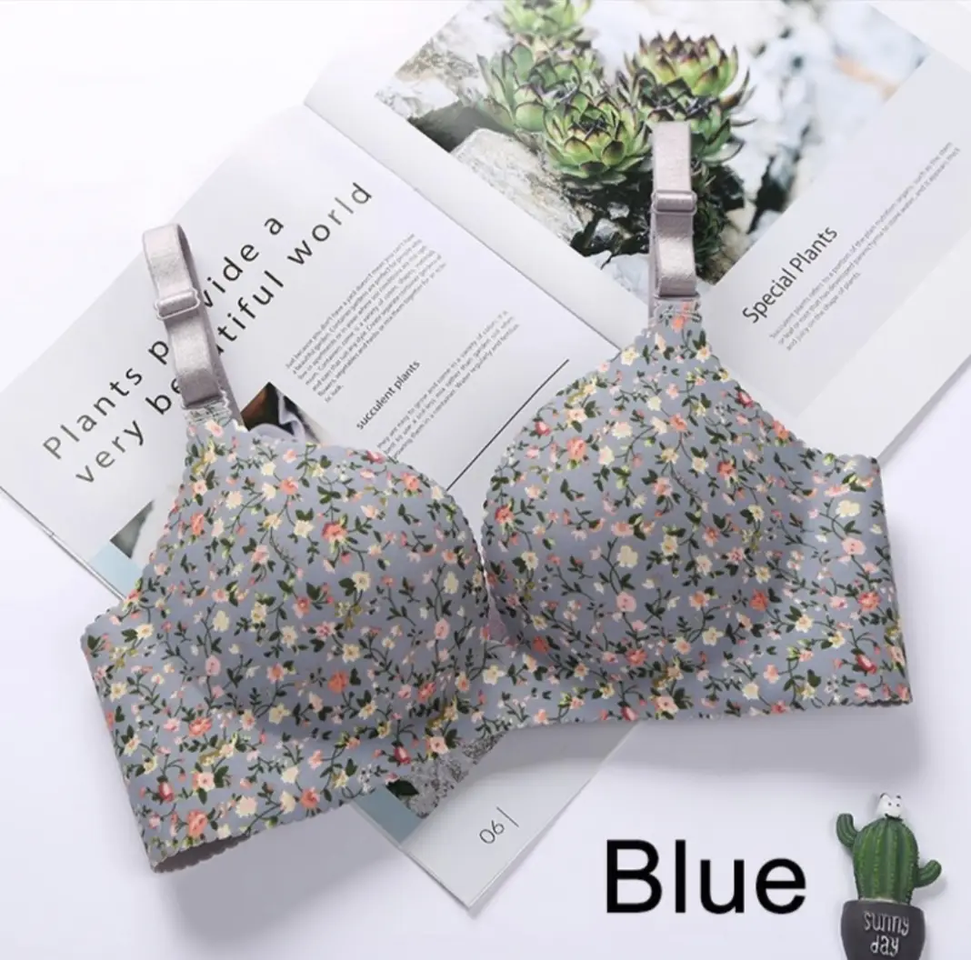Picture of Premium Push Up Printed Bra for Women - Bra