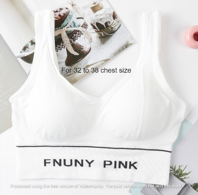 Picture of Imported Premium soft comfortable pad removable stretch bra for Women - One Piece Bra