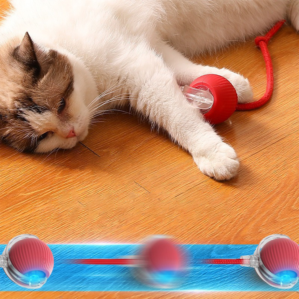 Picture of Rechargeable Interactive Smart Ball Toy for Cats