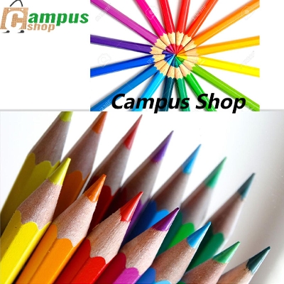 Picture of Petra Color Pencil Big Size 12Pcs+1Pc Free (Multicolor)