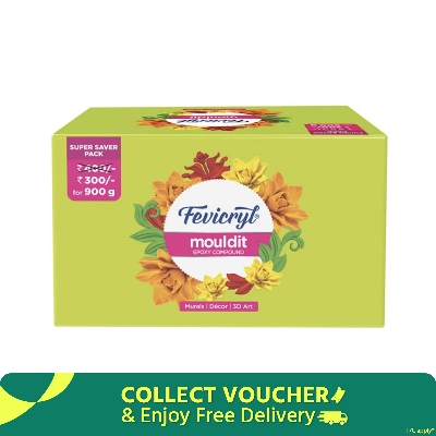 Picture of Fevicryl Mould It, 900 g, Clay Set for Modelling and Sculpting, Air Dry Clay for Art and Craft, Gift for Artists, Students, Children