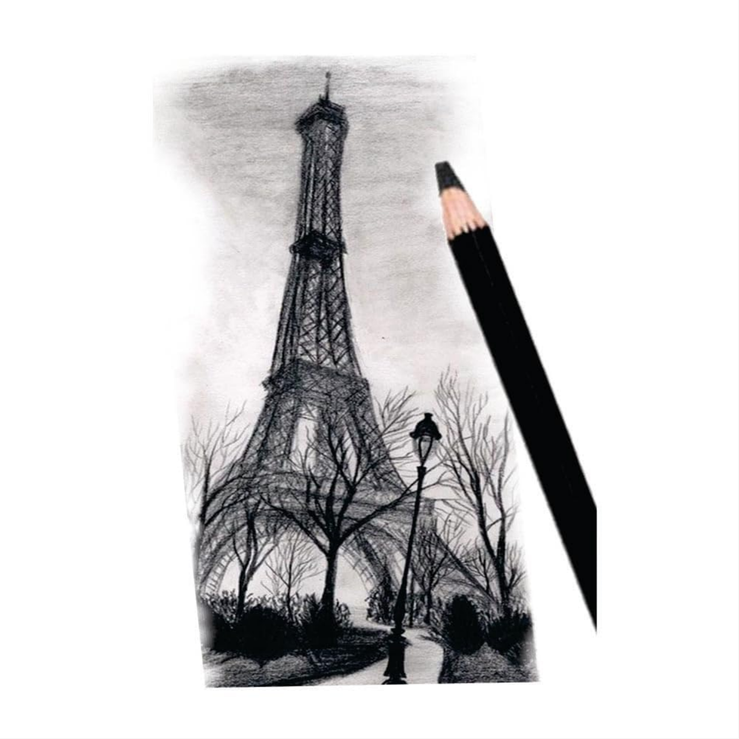 Picture of Artline Charcoal Pencils Pack of 3 (Hard, Medium and Soft)