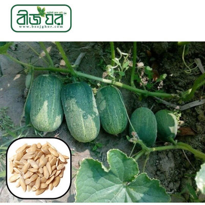 Picture of Khirai (খিরাই) Seed - 20+ Seed
