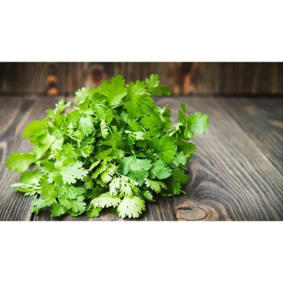 Picture of Dhonia (ধনিয়া পাতা )  - 10gm Hybrid Seed Mini Pack