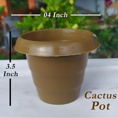 Picture of 10 pcs Cactus Succulent Plant Pot - (04 Inch Size) - ক্যাকটাস পট