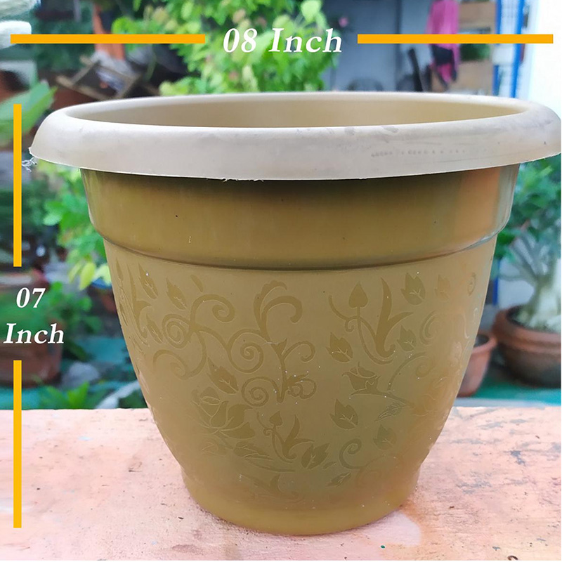 Picture of Flower Plant Tob - 5 pcs - (8 inch Size)