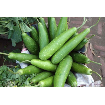 Picture of লাউ এর বীজ / - 20+ pcs Seed Lau Seed - All Season 