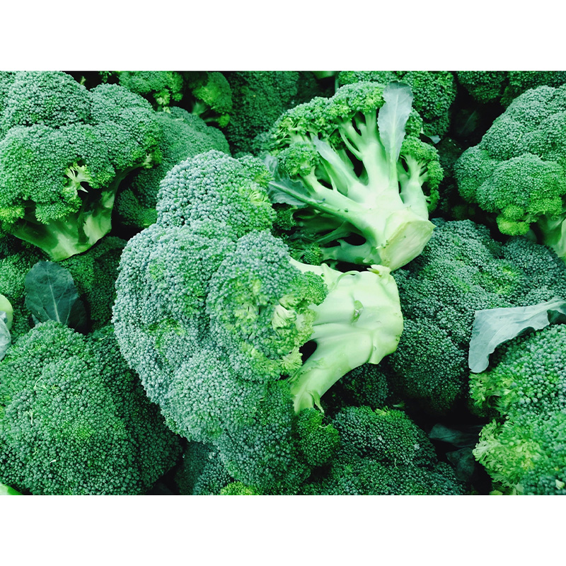 Picture of Broccoli (ব্রকলি)  - 25 pcs F1 Hybrid Seed