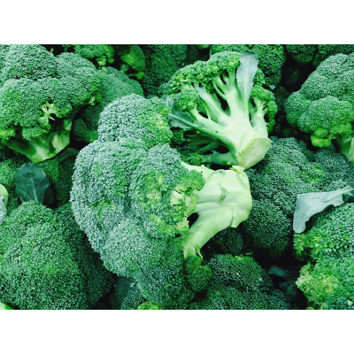 Picture of Broccoli (ব্রকলি)  - 25 pcs F1 Hybrid Seed