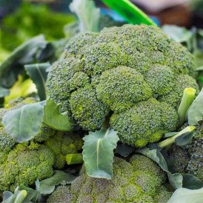 Picture of Broccoli (ব্রকলি) - 50 pcs F1 Hybrid Seed