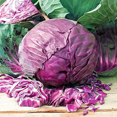 Picture of Red Cabbage ( লাল বাধাকপি) - 35+ pcs F1 Hybrid Seed