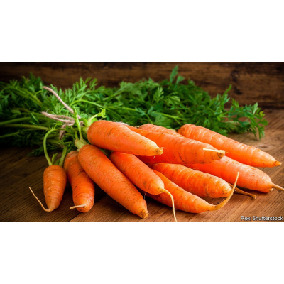 Picture of Carrot Seed 100 pcs / গাজর বীজ - ১০০ টি