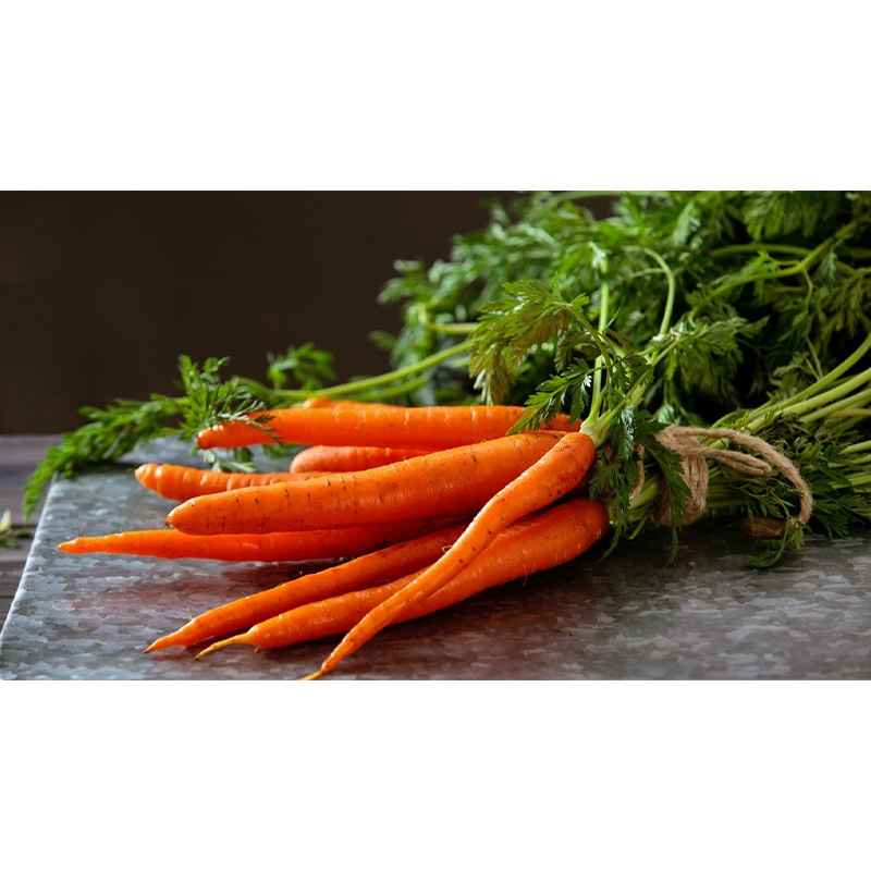 Picture of Carrot 50 pcs Seed ( গাজর - ৫০ টি বীজ  )