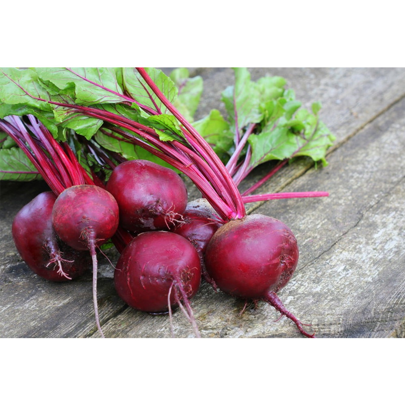 Picture of Beetroot Seed - 3gm / 90+ Beetroot Seed - Repack