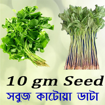 Picture of ডাটা শাকের বীজ - ১০  গ্রাম - সবুজ কাটোয়া ডাটা