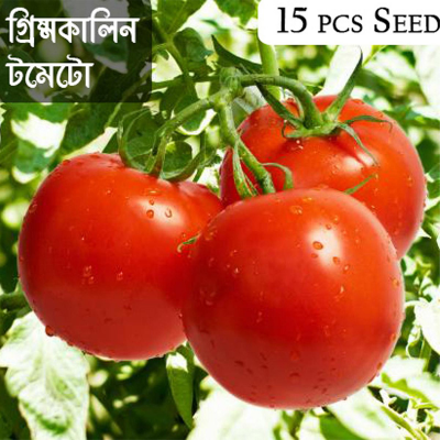 Picture of Summer Tomato - 15  F1 Hybrid Seed -  গ্রিষ্মকালিন টমাটো হাইব্রিড বিজ