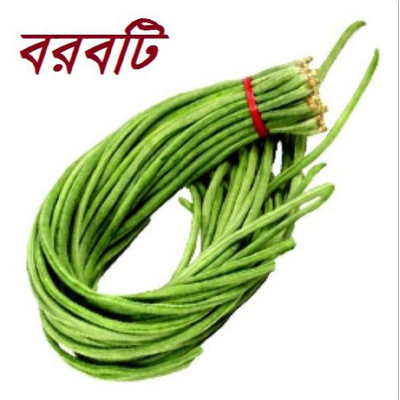 Picture of বরবটি  / Yardlong Bean - 25 pcs Seed