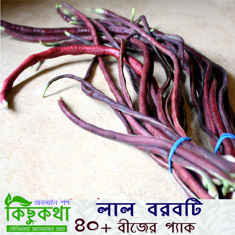 Picture of Red Yardlong Bean-  20 pcs Seed (লাল বরবটি বীজ) 